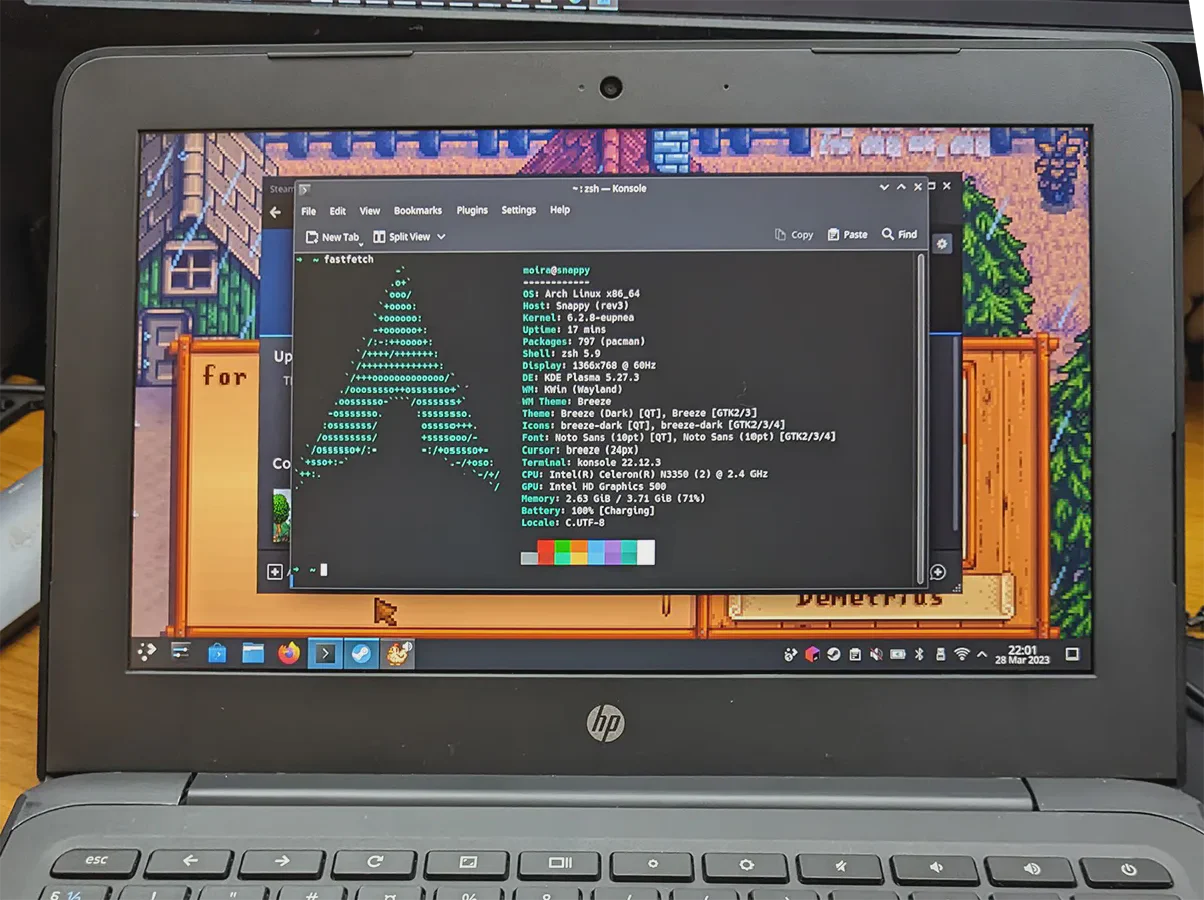 stardew vally running on eupnea linux
